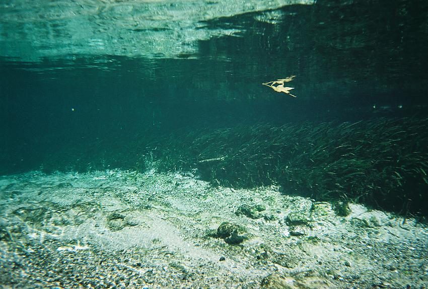 Dive