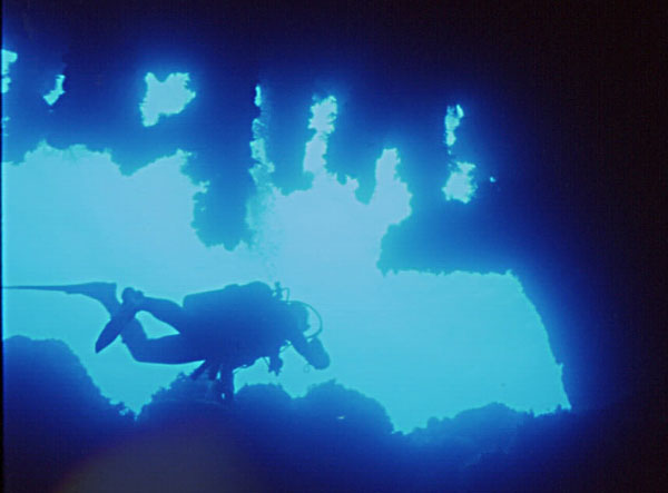 Diver