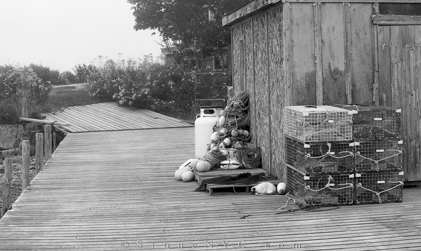 Dock Life