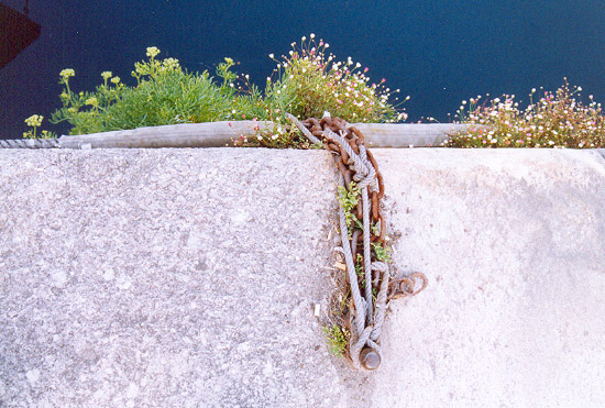 dock