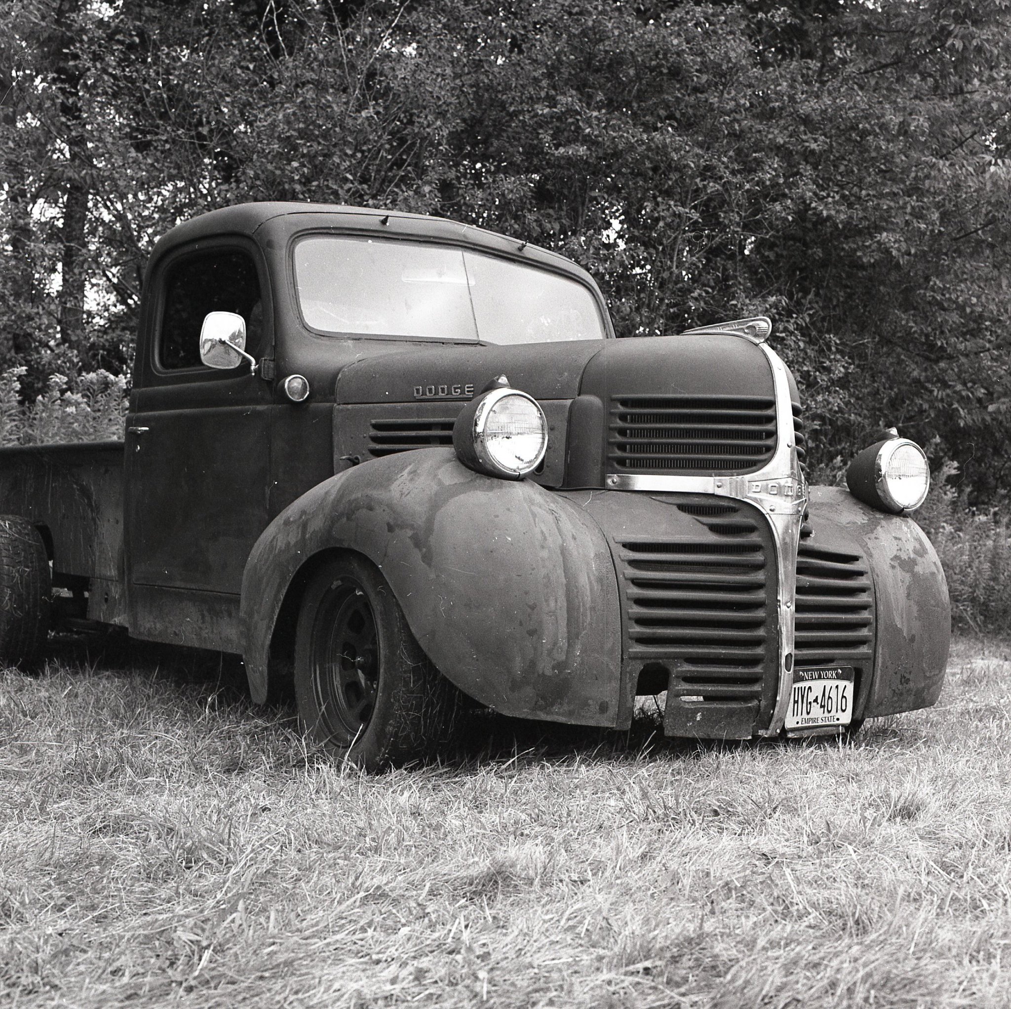 Dodge