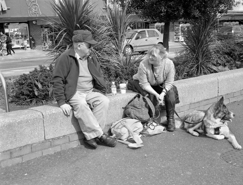 Dog Couple