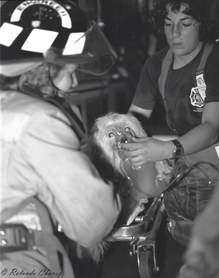 Dog in Fire Rescue