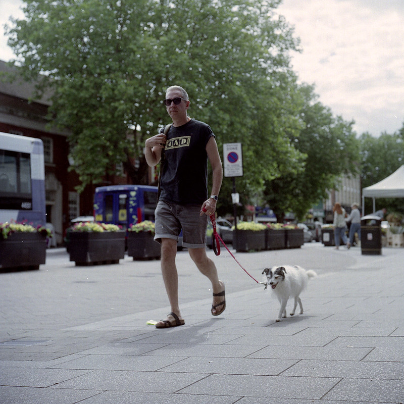 Dog Walker