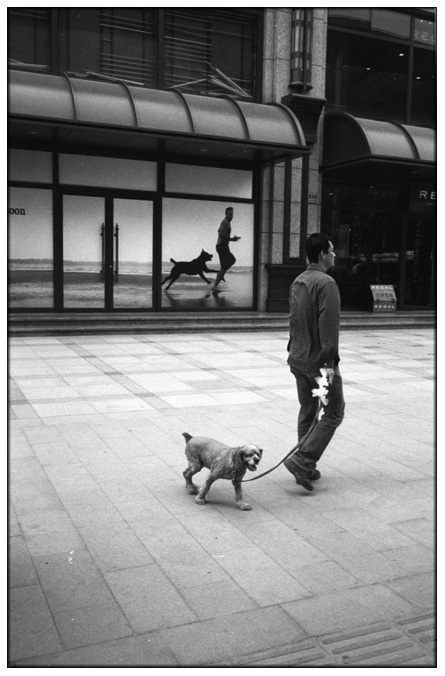 Dogs
