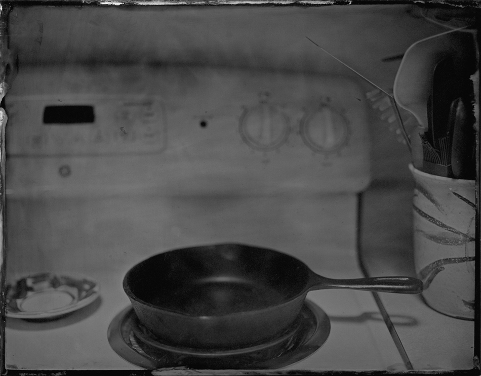 Domesticites #15
