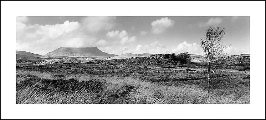 DONEGAL VISTA