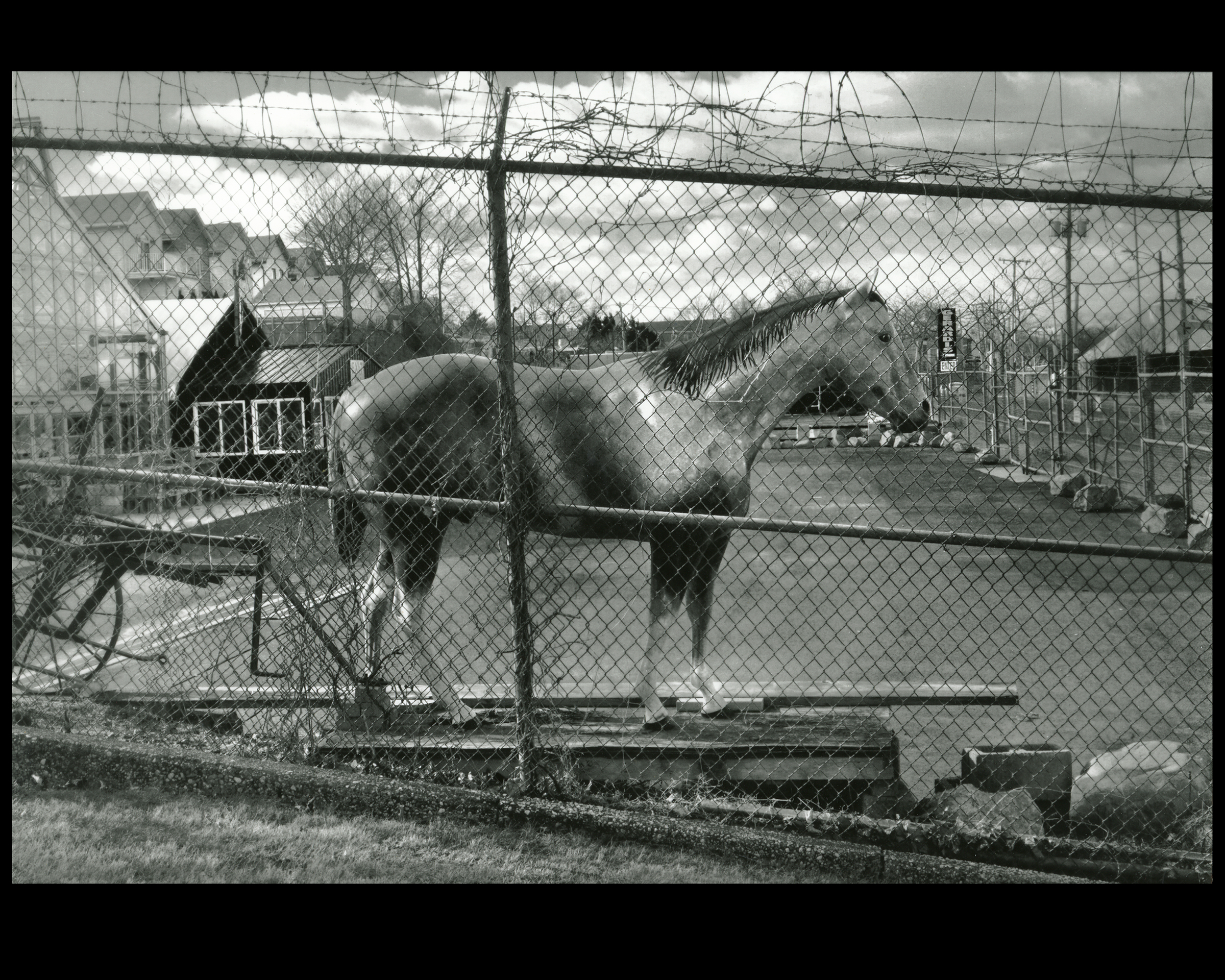 "Don't Fence Me In"