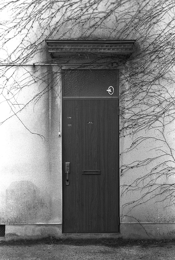 door-and-vines