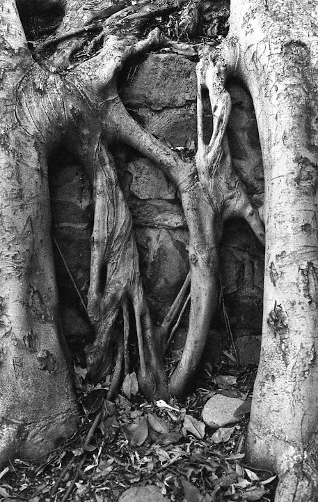 Door to the Underworld