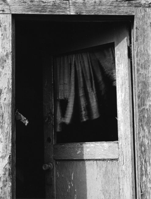 Door with Curtain