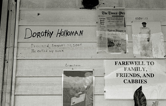 Dorothy Holloman