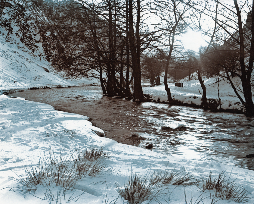 Dovedale In Winter