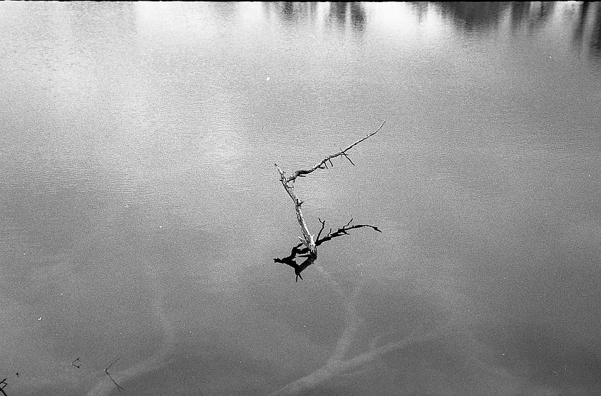 Down by the lake