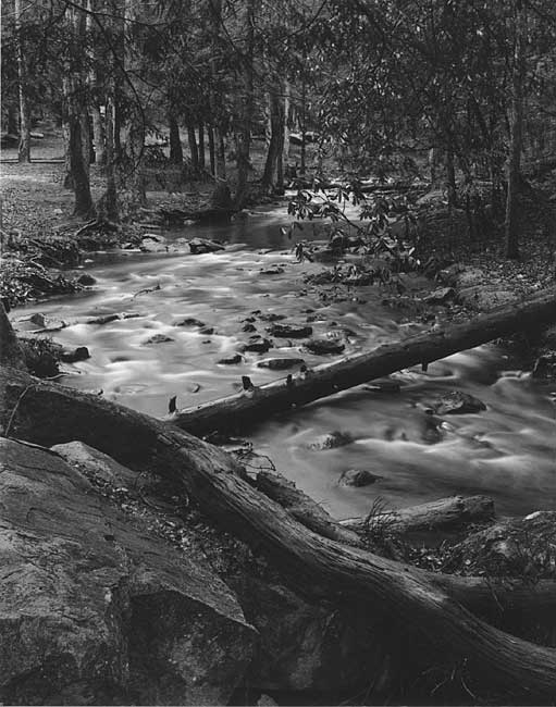 Down the creek softly