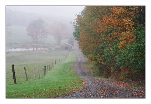 "Down the Lane"