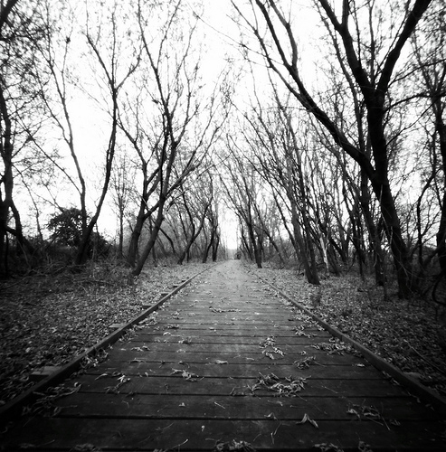 Down the Path