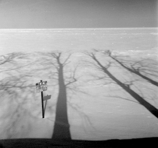 Down to the Lake 1
