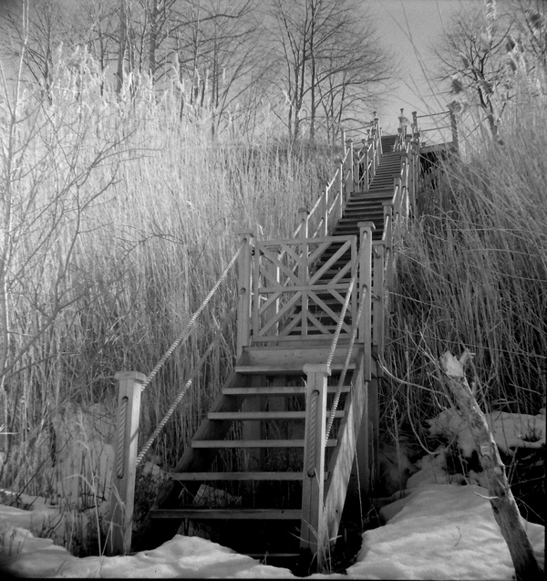 Down to the Lake 2