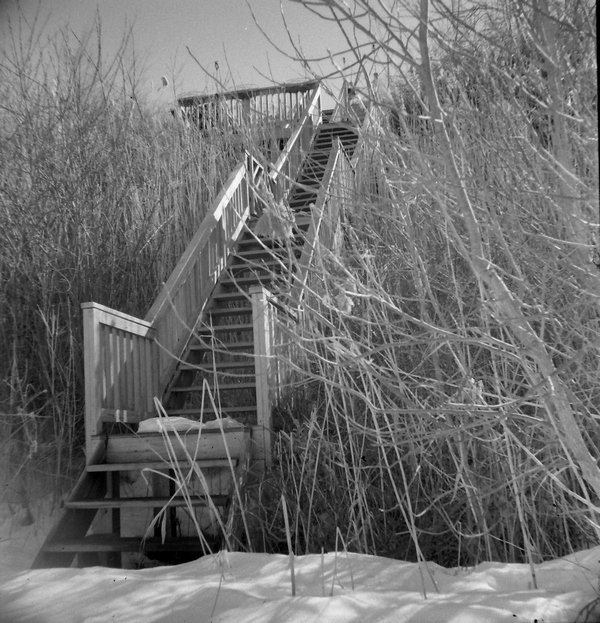 Down to the Lake 4