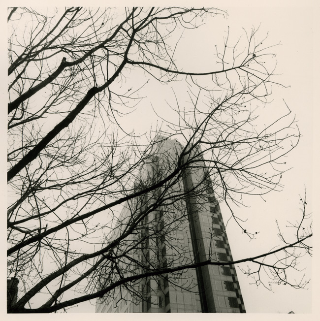 Downtown Austin hassy #2