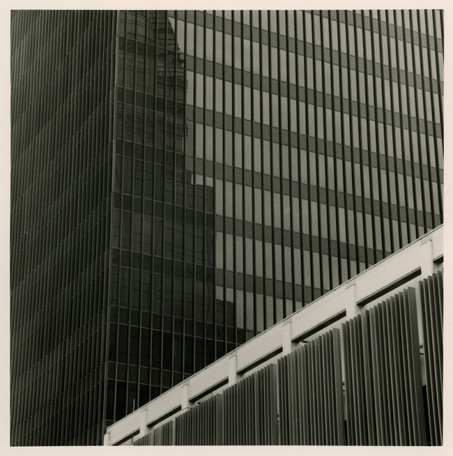 Downtown Austin hassy #5