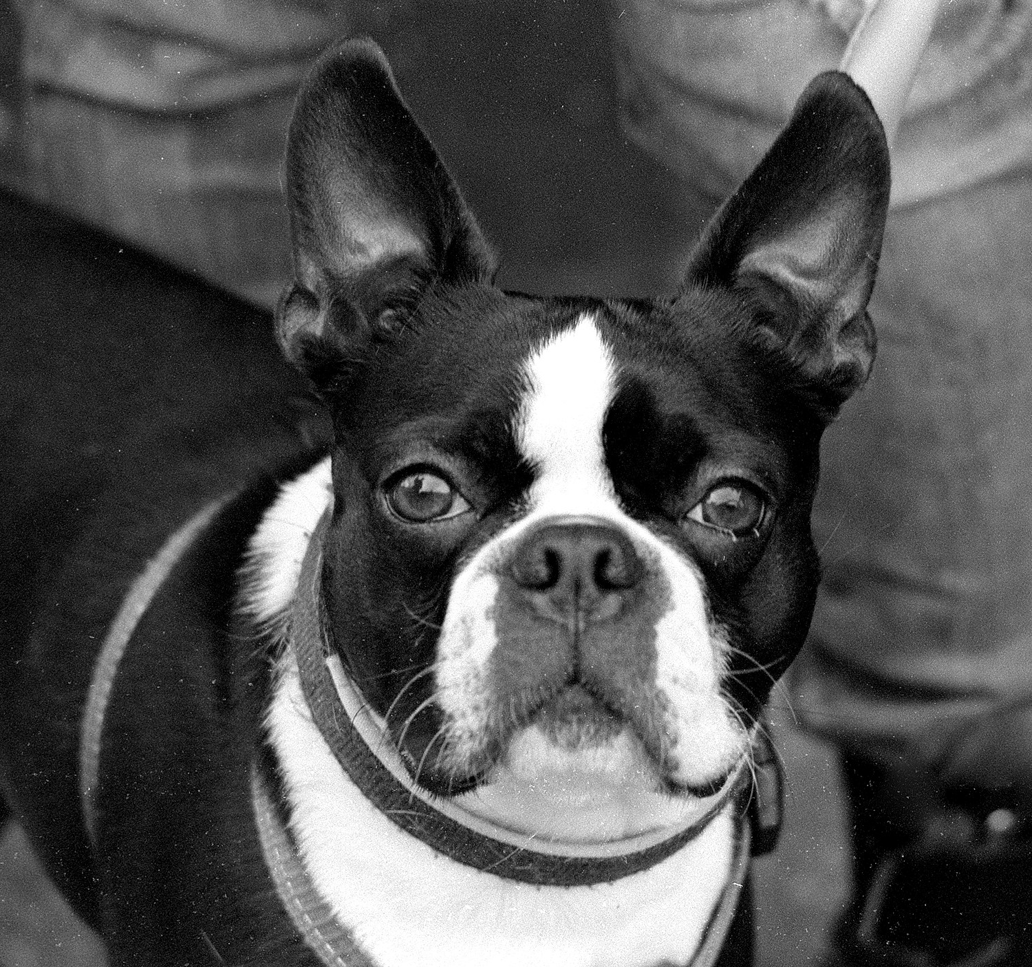 DRAGON IV Film in E-76 test 01