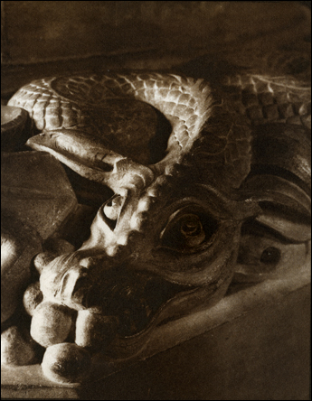 Dragon - Kallitype