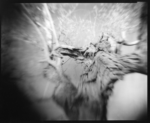 Dragon's Breath w/brass lens