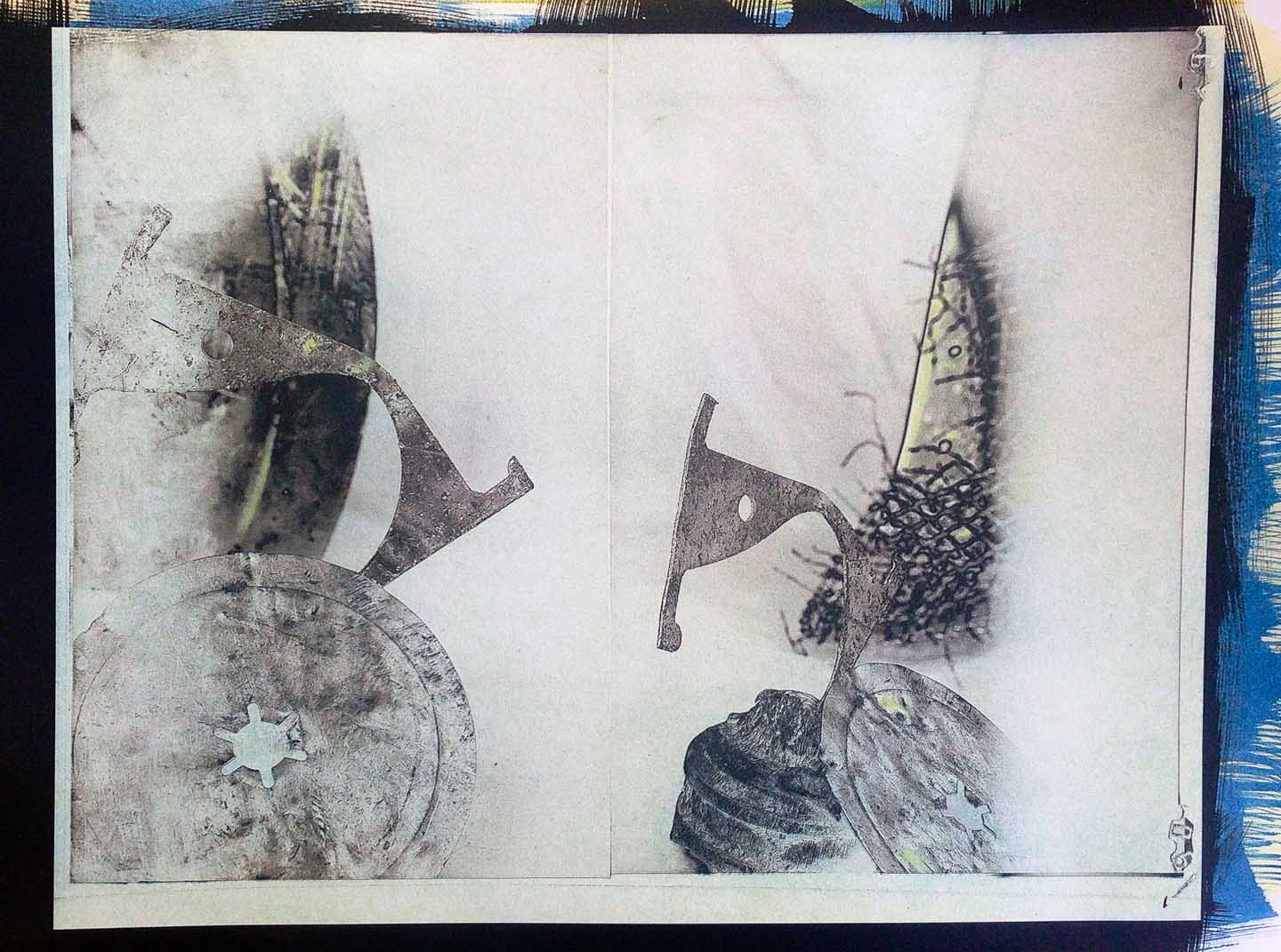 Dragons