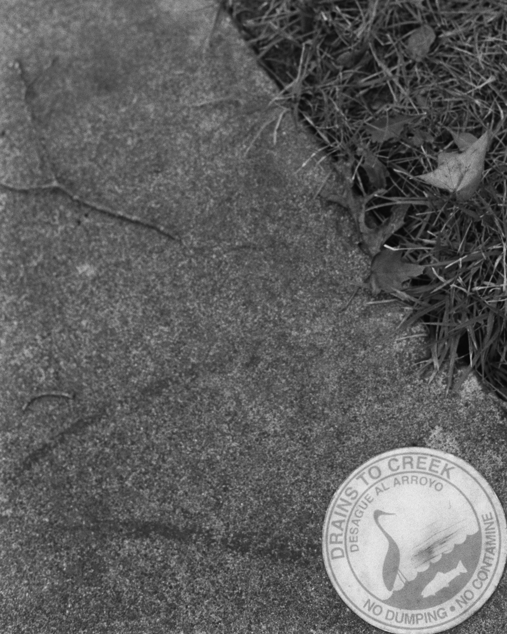 Drains To Creek