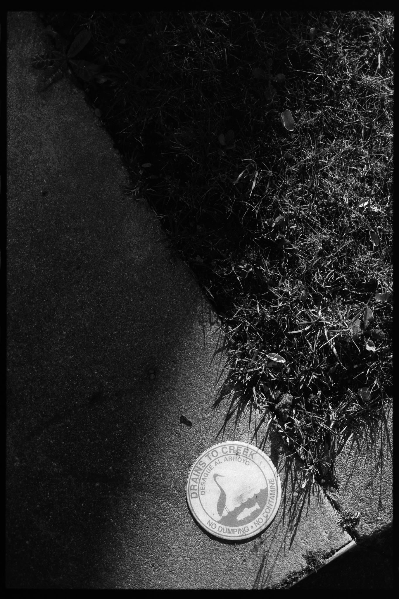 Drains to Creek
