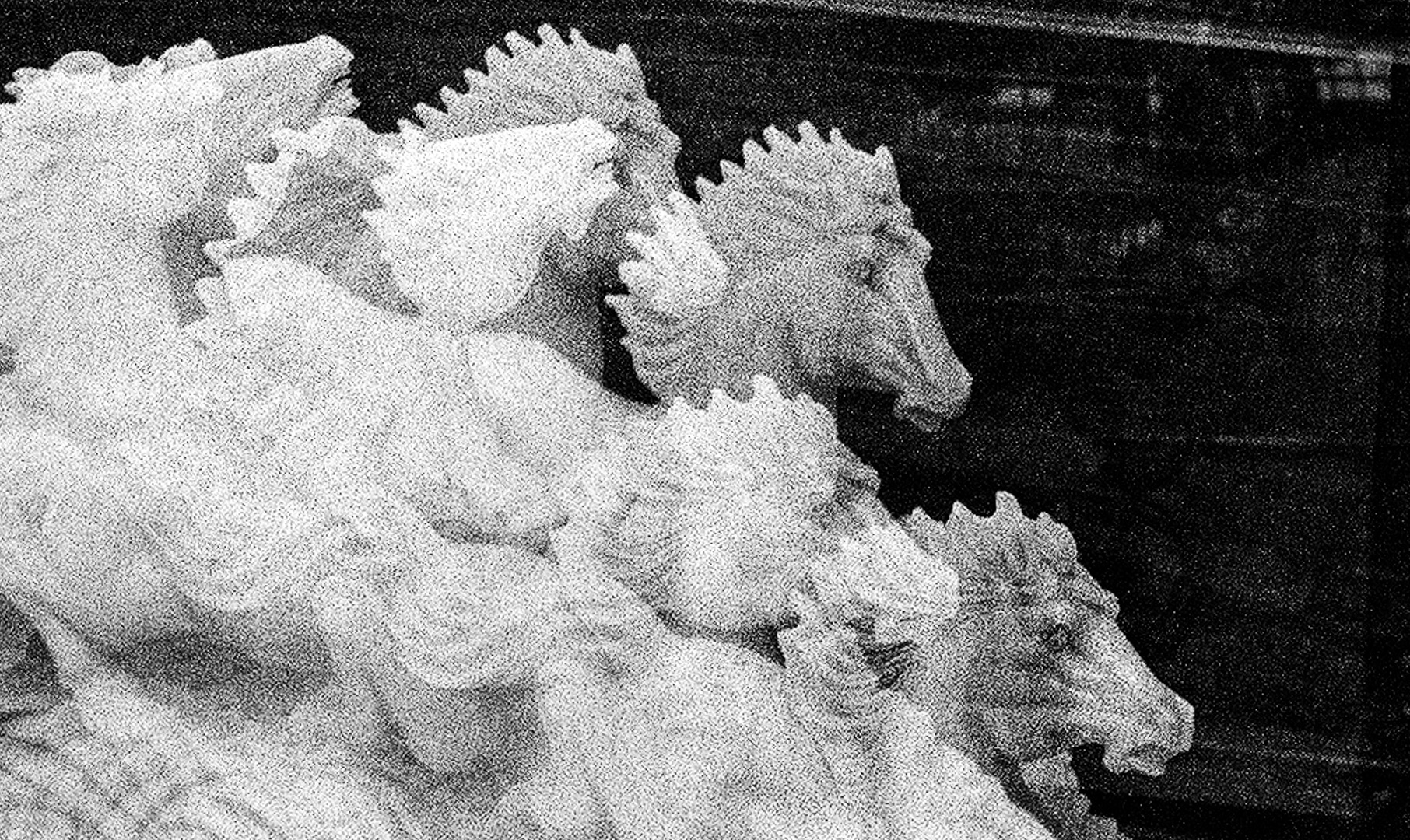 Dream Stallions