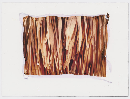 Dried Palm Leaves