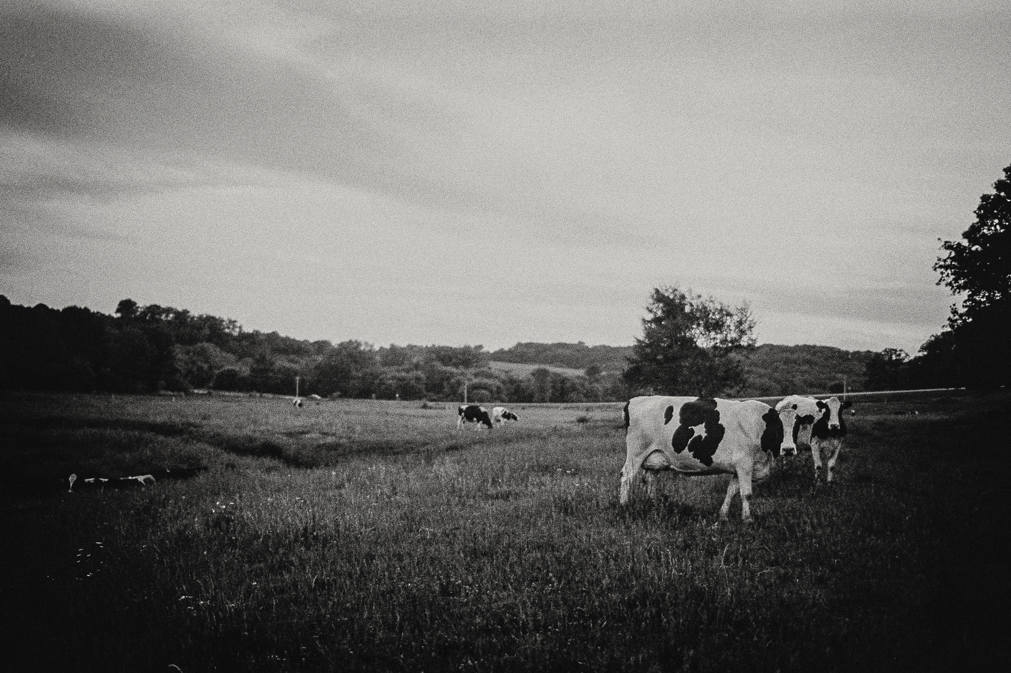 Driftless Wisconsin