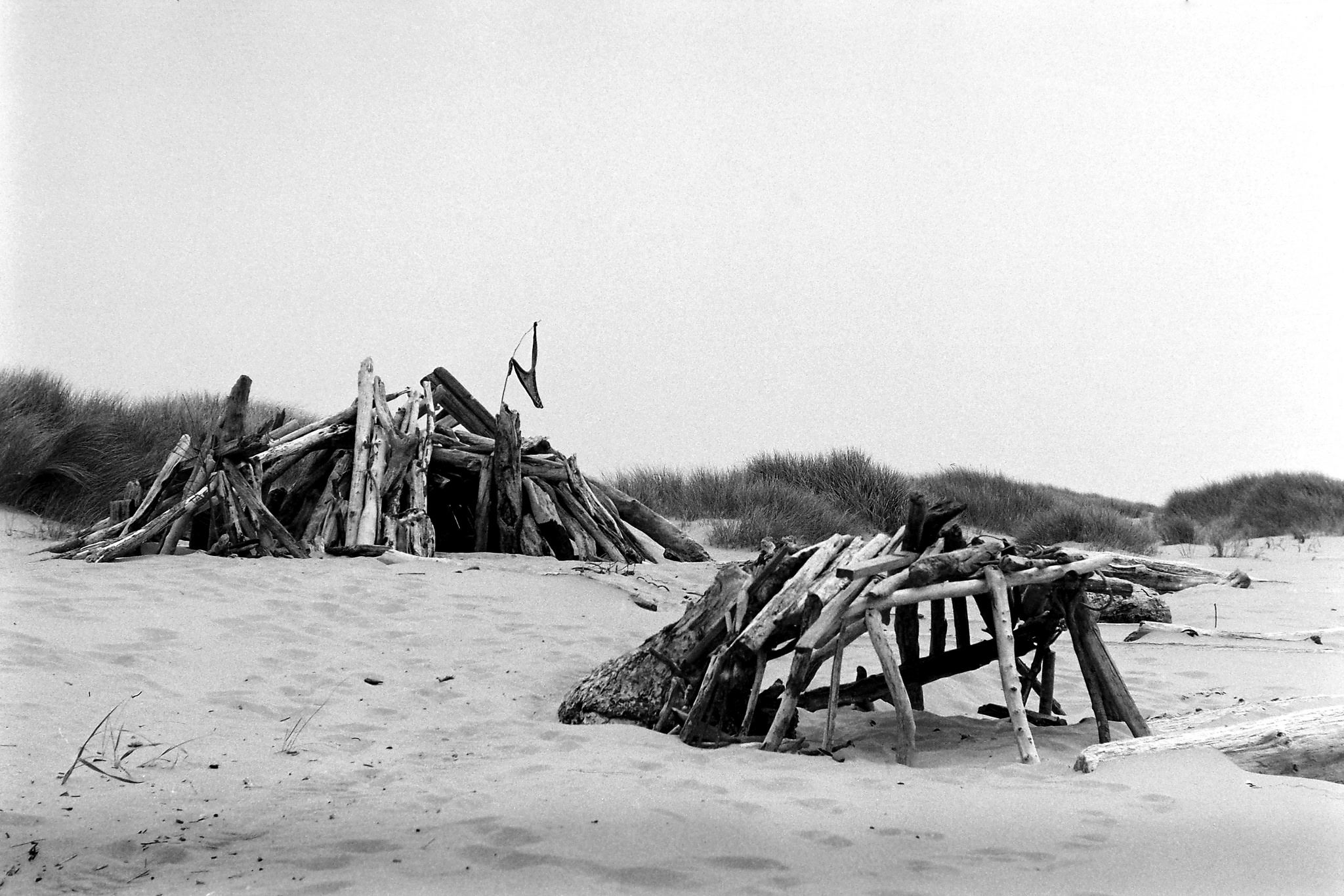 Driftwood Forts