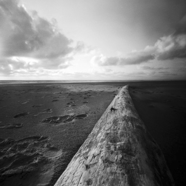 Driftwood on the Oregon Coast