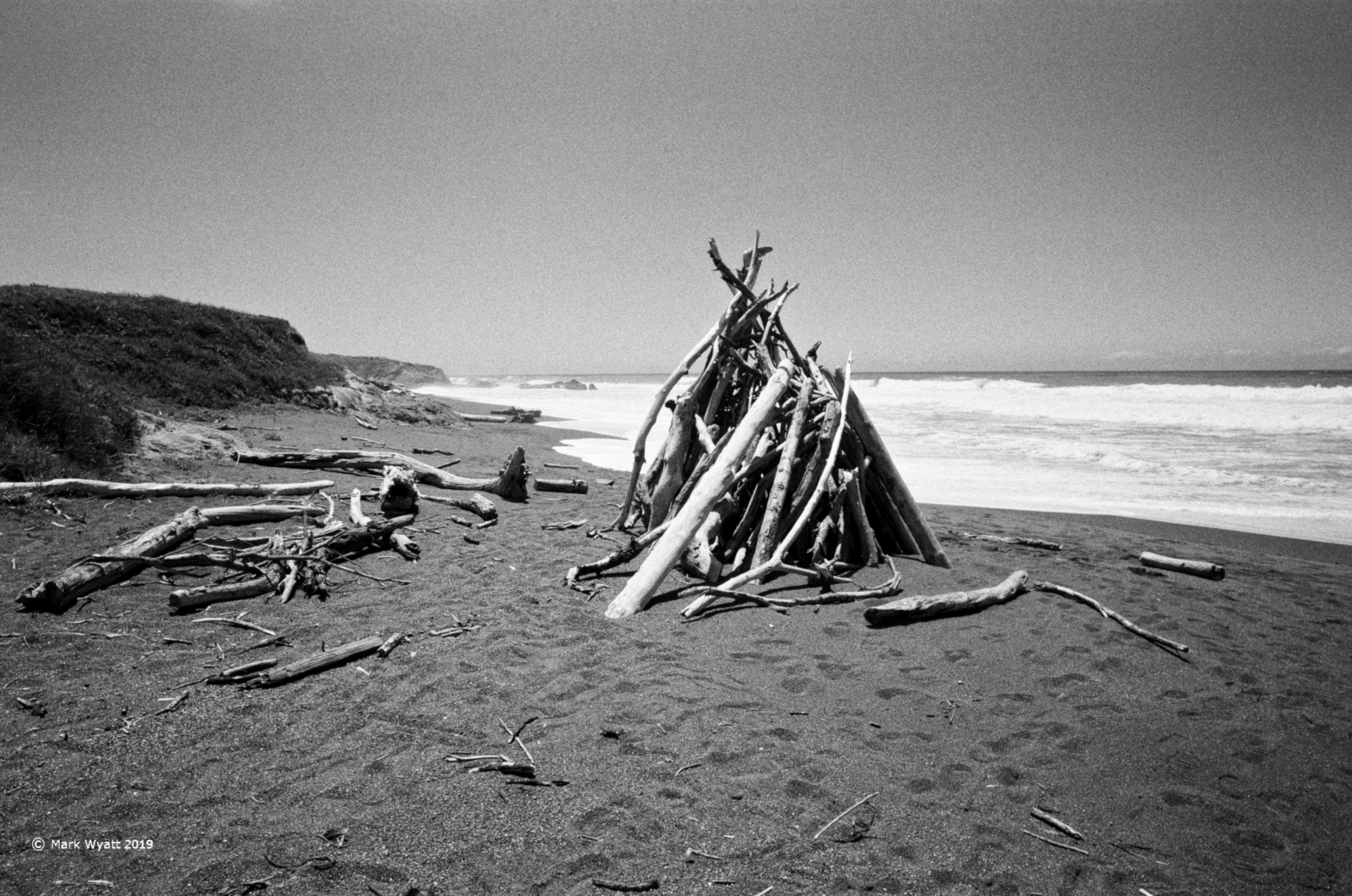 Driftwood Pile