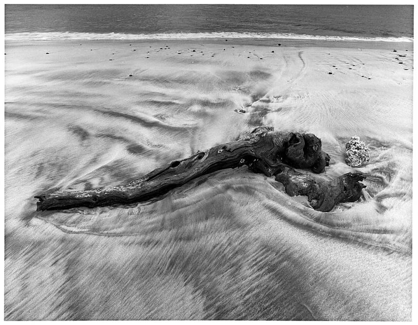Driftwood