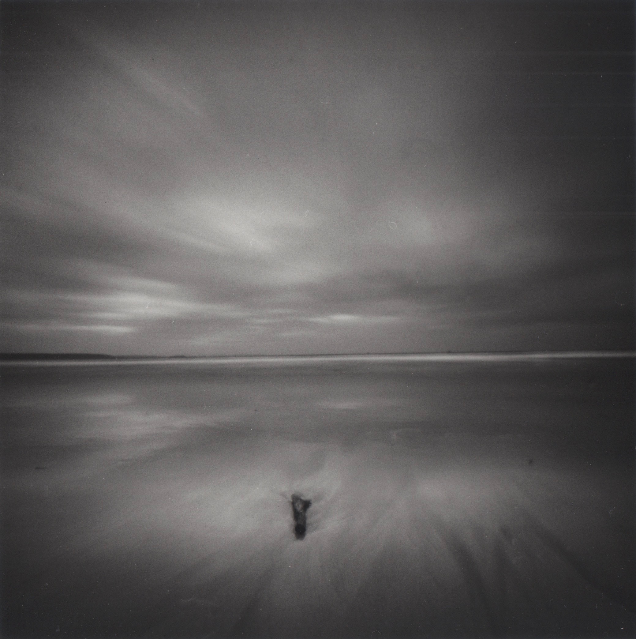Driftwood