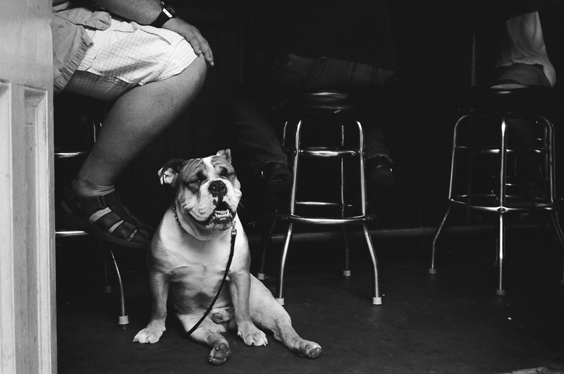 Drinking Buddy