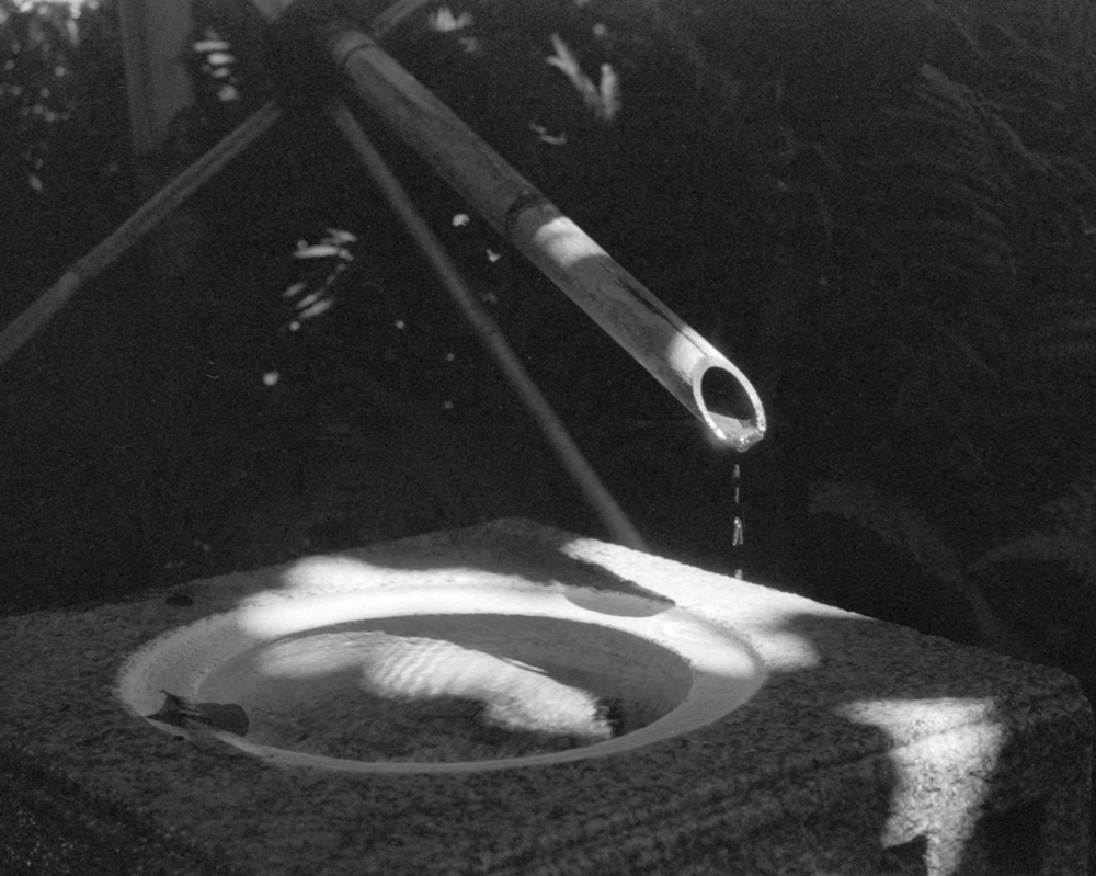 Drip-crop1 - loose crop