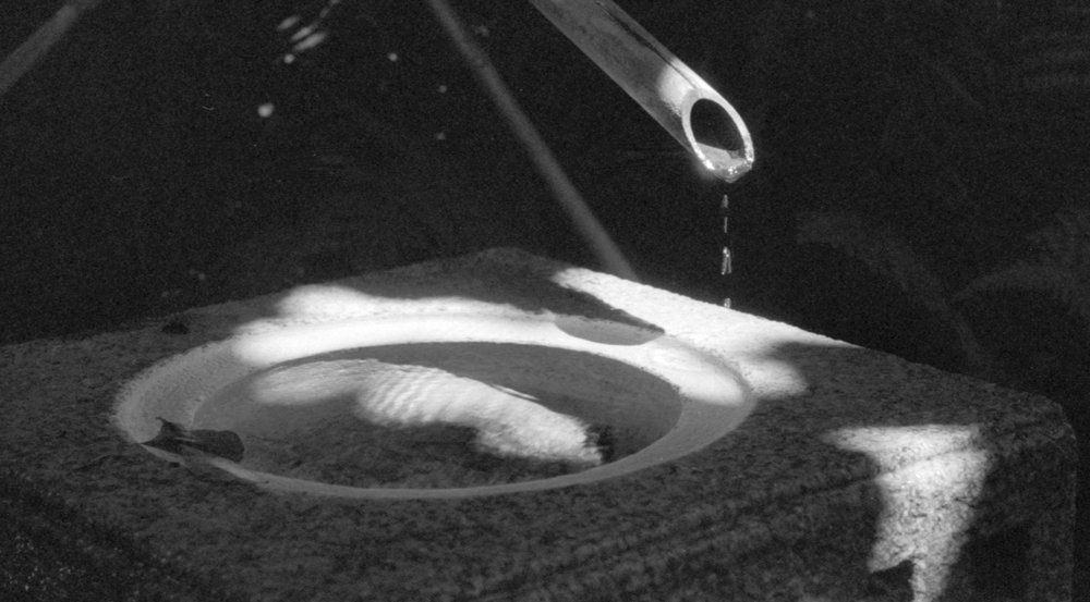 Drip-crop2 - tight crop