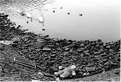 drowned teddy