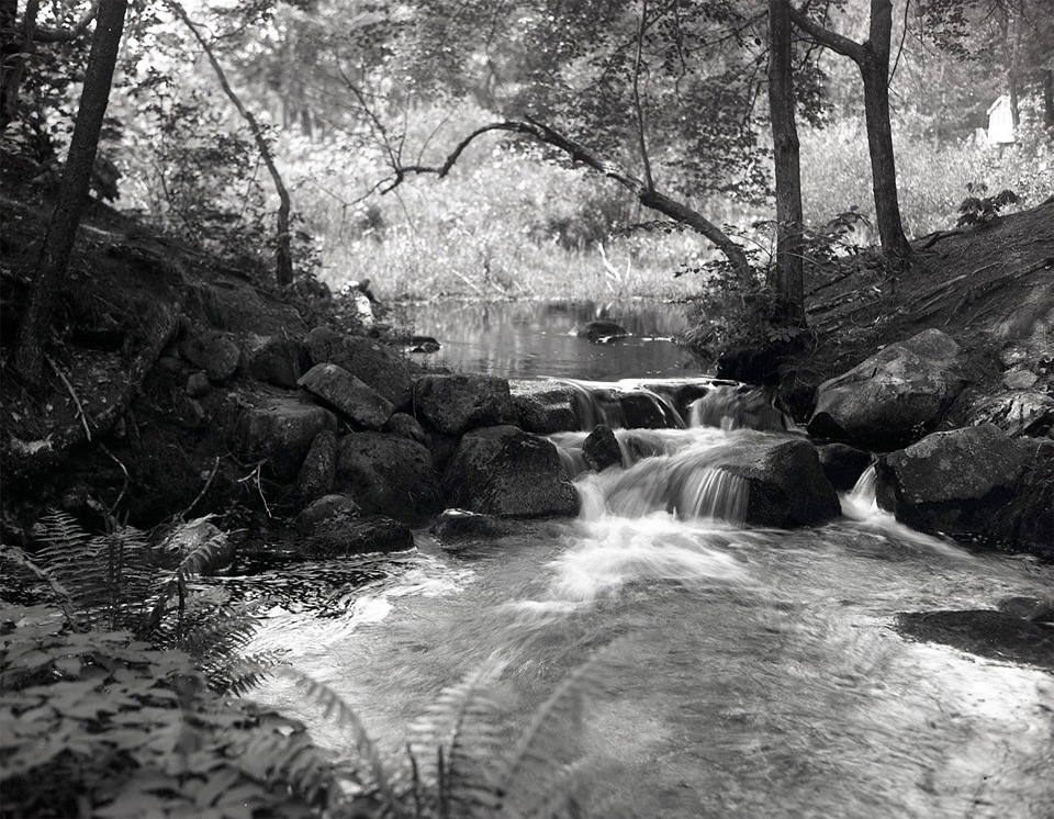 Dry Plate - A nice spot
