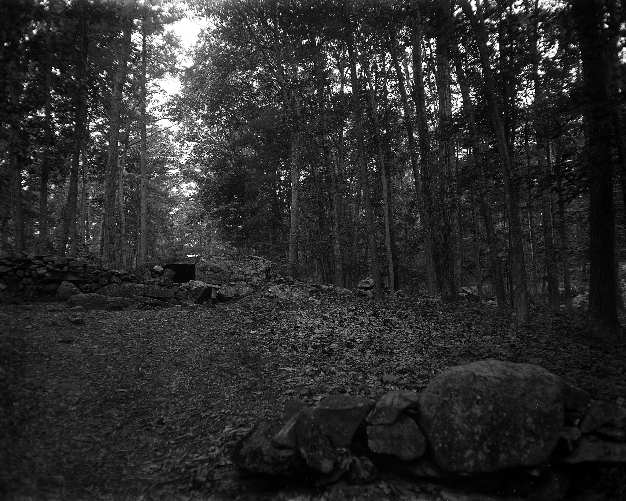 Dry Plate - Hideaway