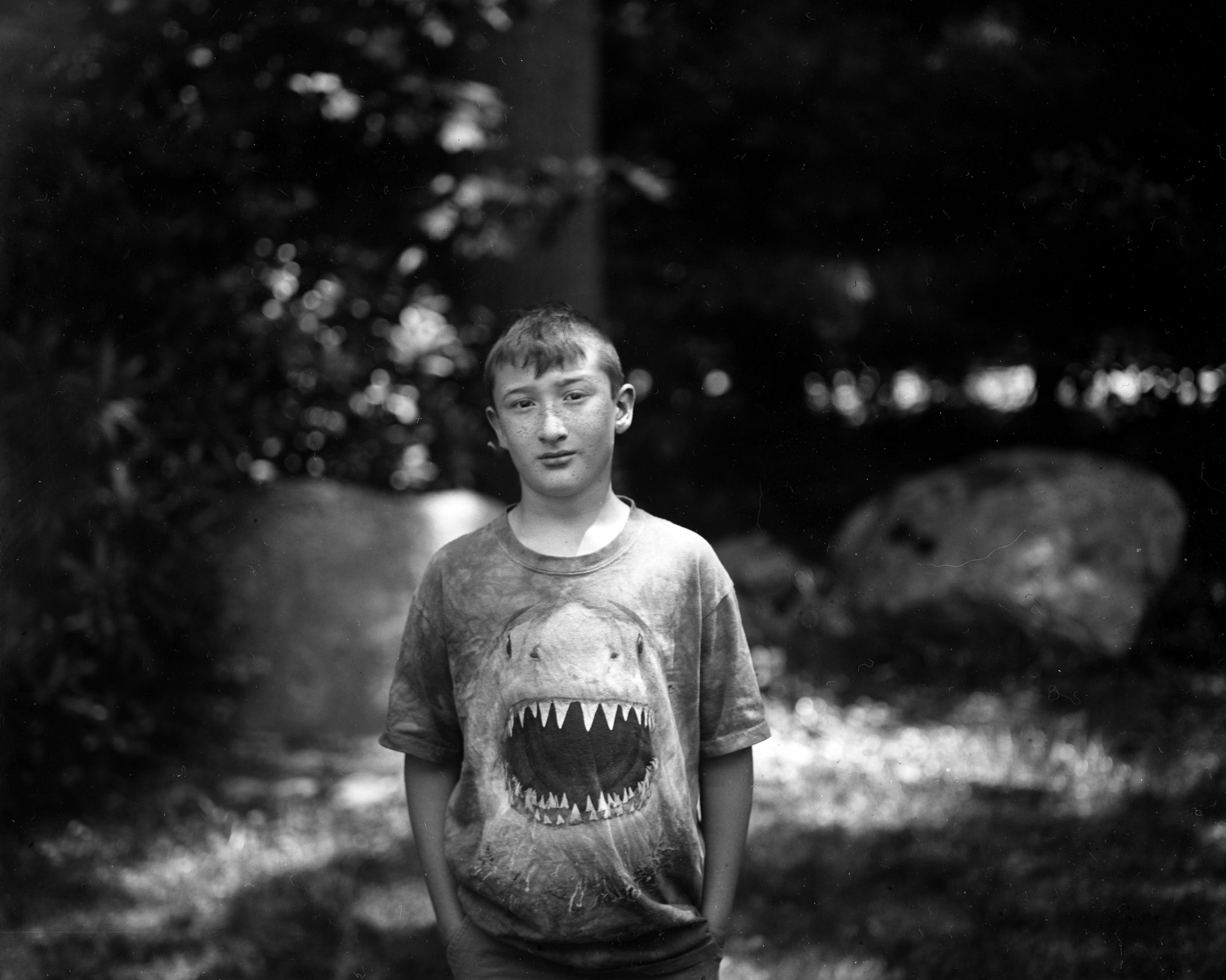 Dry Plate - My shark does my talking!