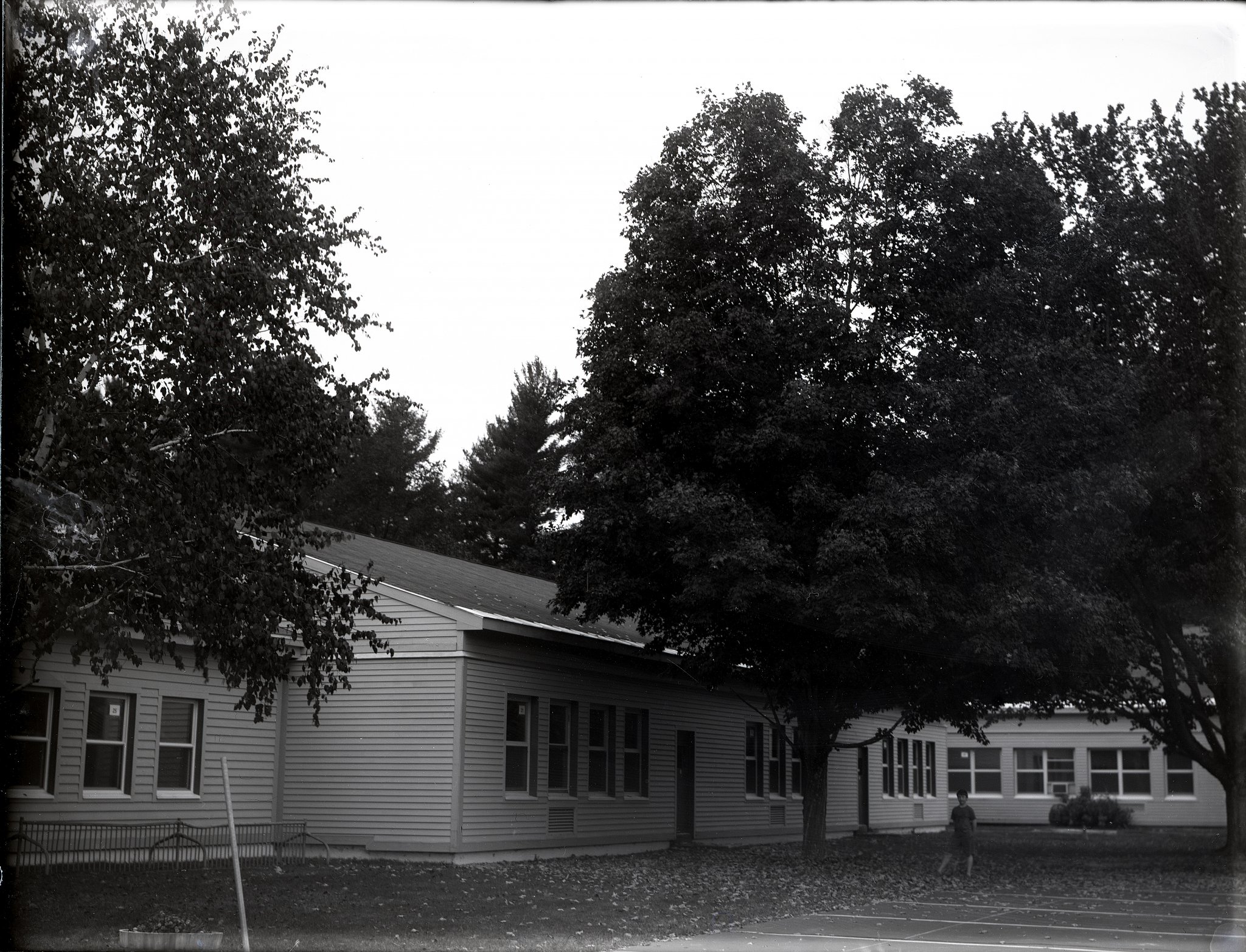 Dry Plate - School and tree