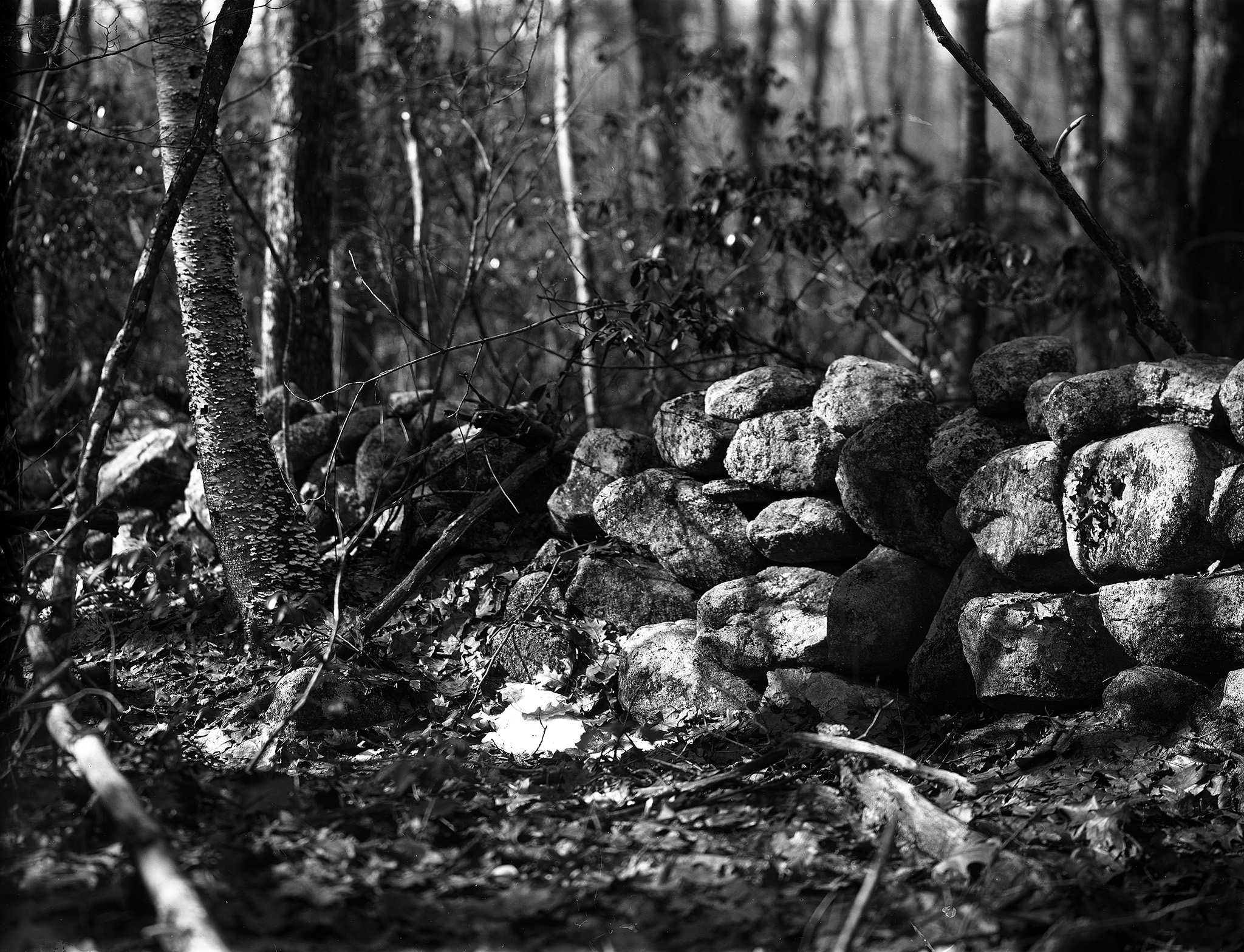 Dry Plate - Stone Wall
