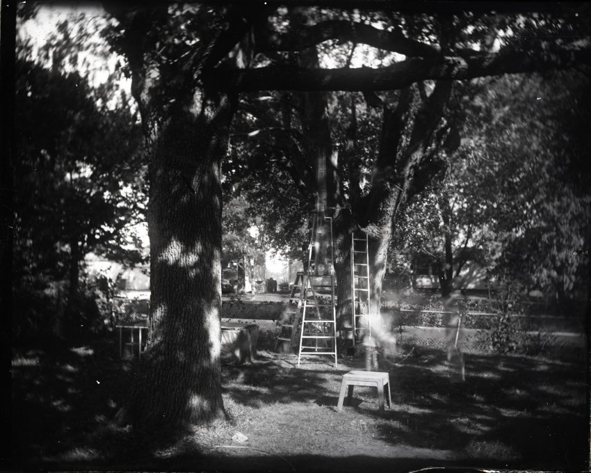 Dry Plate - Zip Line
